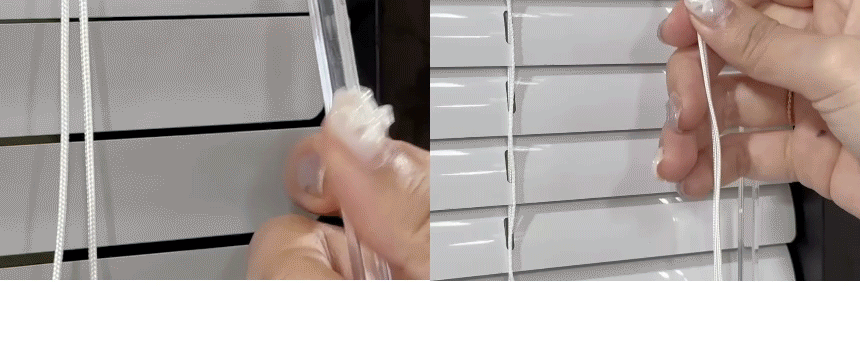 shutter16.gif